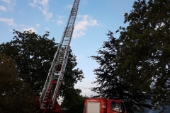 IMG-20190709-WA0019